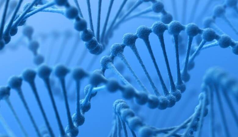 چگونگی تاثیر حرکات DNA بر یک ژن