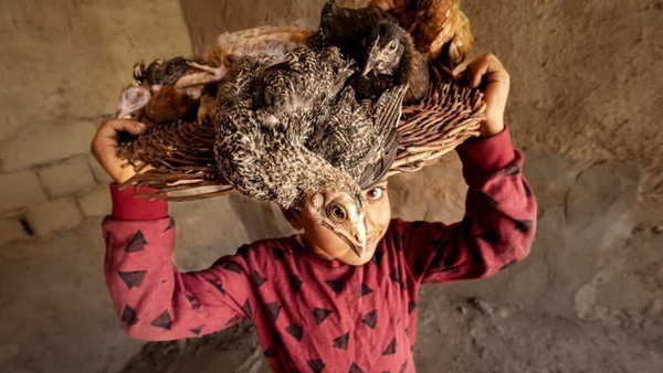 درخشش عکاس بوکانی در جشنواره بین‌المللی بنین ۲۰۲۵