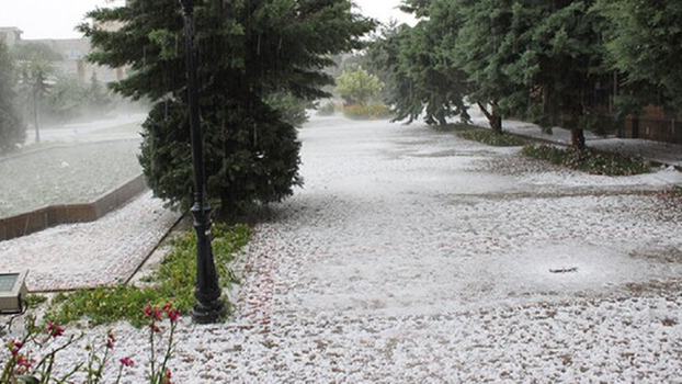 تگرگ به ۳۲۰۰ هکتار از مزارع باروق خسارت زد