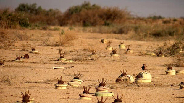 ۴۰ هکتار از اراضی آلوده به مین در سردشت پاکسازی می‌شود