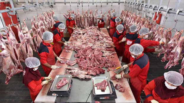 خداحافظی با گوشت برزیلی