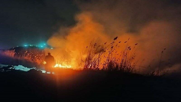 ۹۶ هکتار از مراتع بوکان طعمه حریق شد