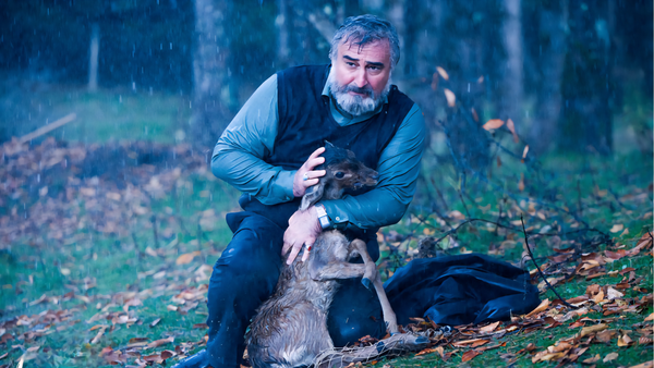 پرده‌ نقره‌ای برای امام رضا (ع)