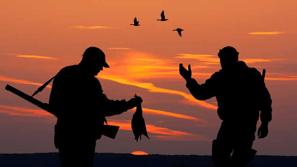 دو شکارچی فاخته در تالاب نوروزلوی میاندوآب دستگیر شدند