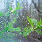 بارندگی در ۲۶ استان بیشتر از سال قبل